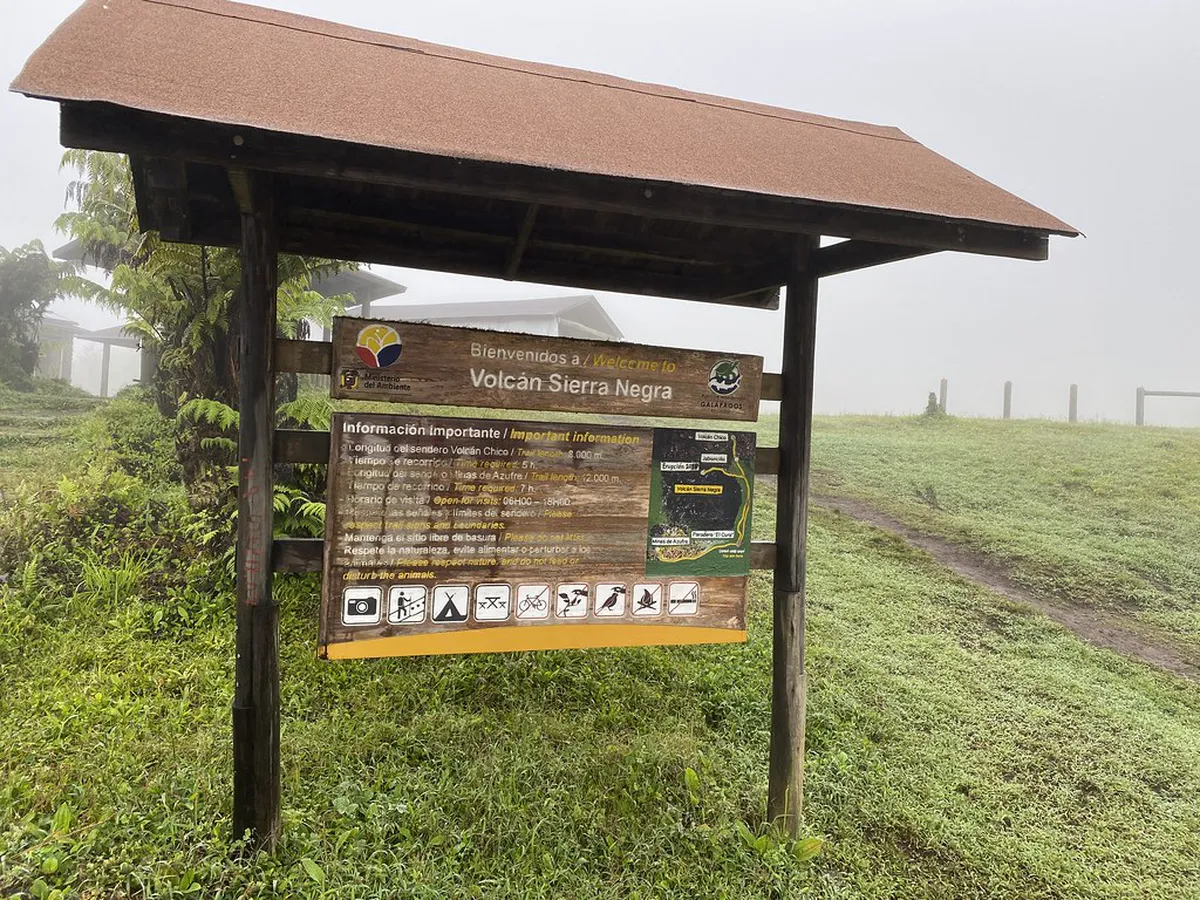 12 Unique Things El Puerto: Discover Hidden Gems in 2025