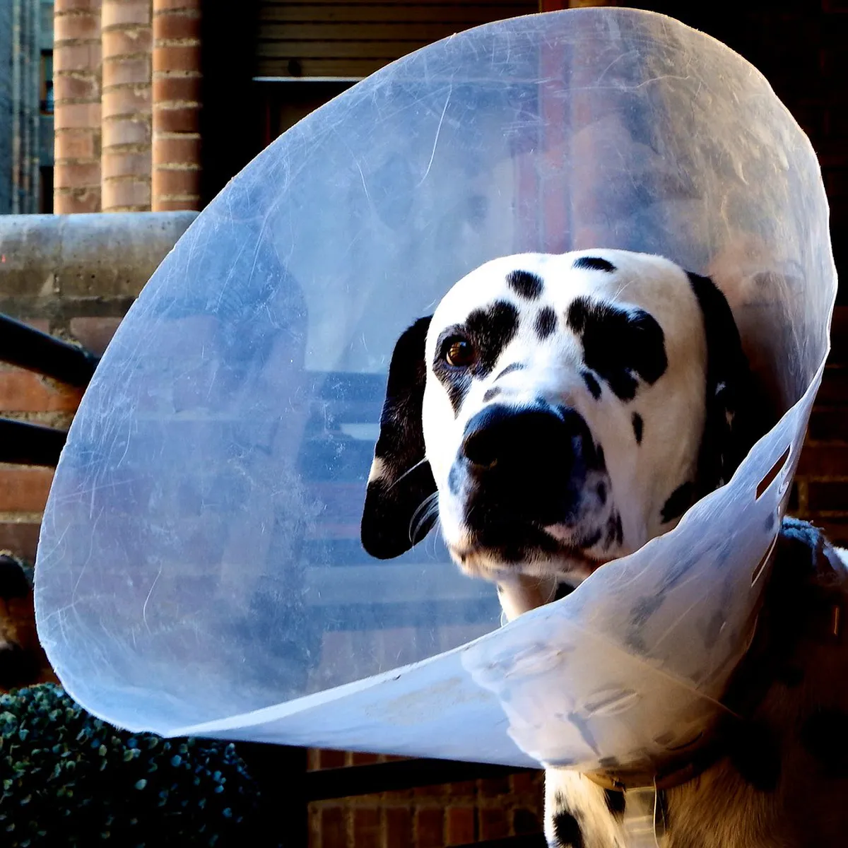 Discover Unique Tomar Activities in 2025