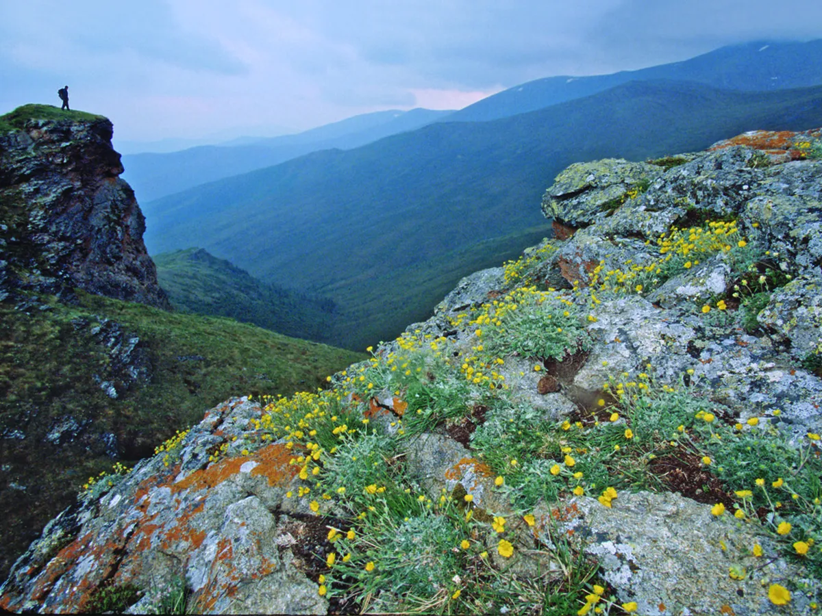 Untouched Nature Spots Ulcinj: Montenegro's Wild Side