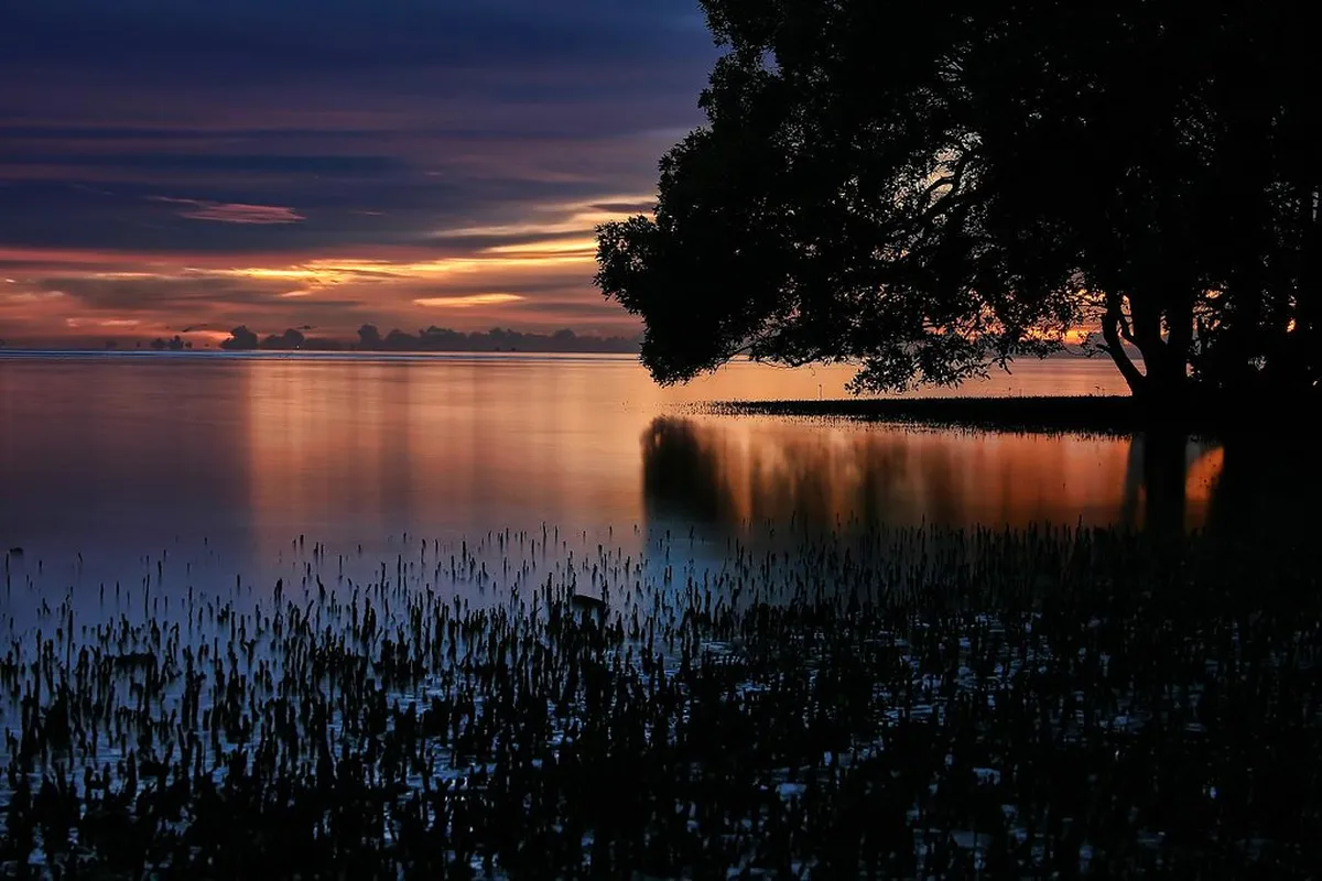 Discover Untouched Nazaré Hiking Trails in 2025
