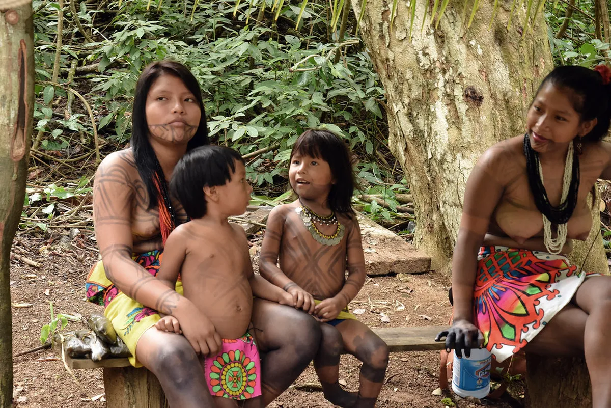 Discover Untouched Palma Hiking Trails in 2025