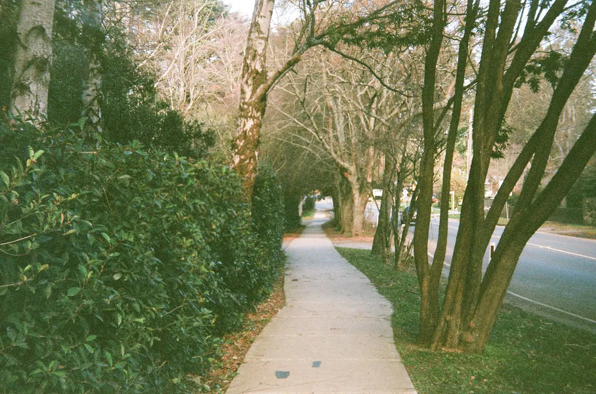 Discover Untouched Trails Skiathos Town in 2025