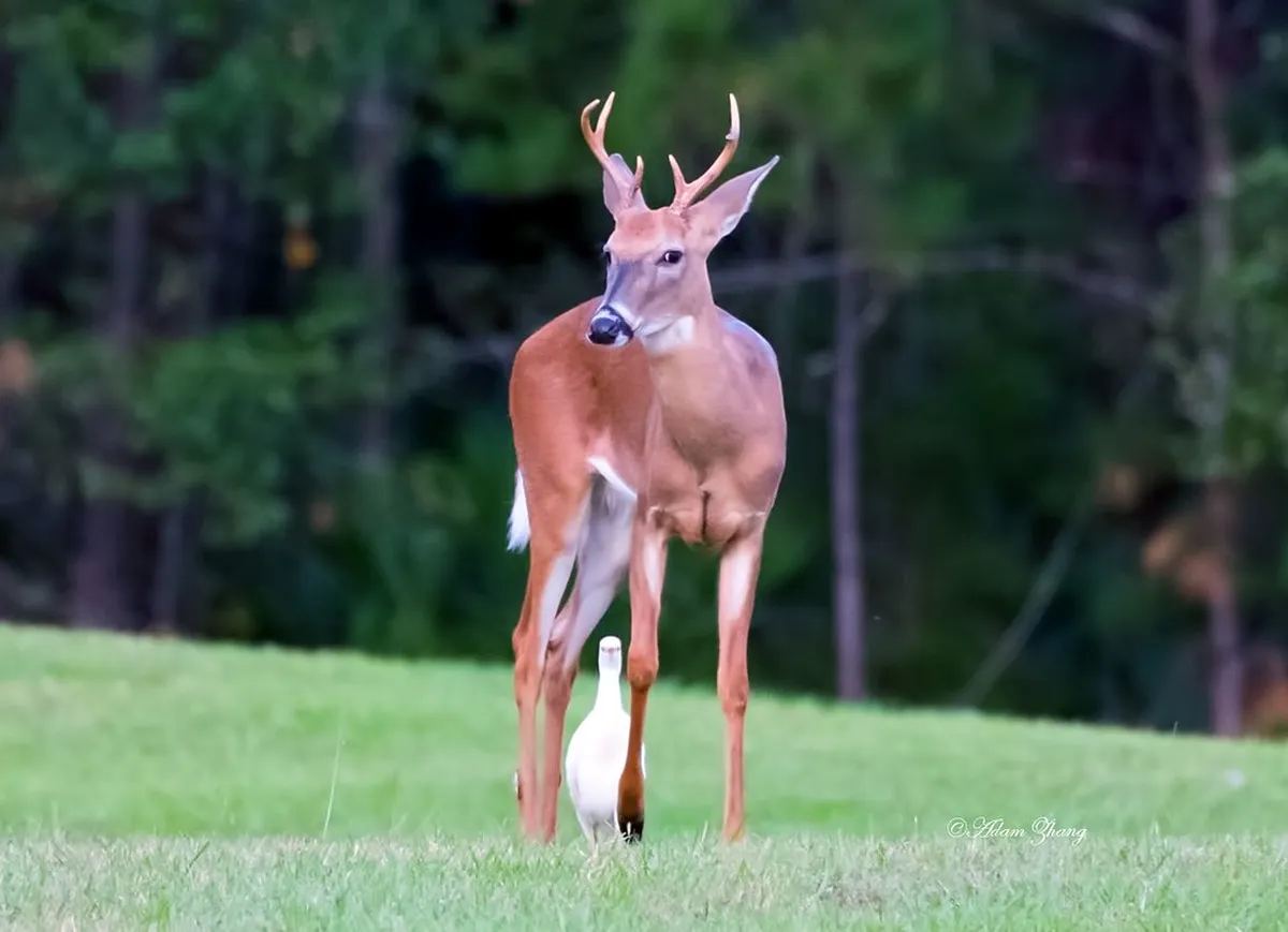 Unusual Ajaccio Historical Sites: Hidden History in 2025