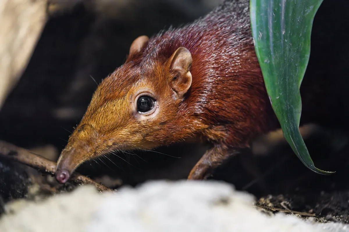 5 Hidden & Unusual Basel Attractions for 2025