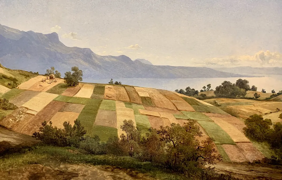 Discover Unusual Düsseldorf Tours in 2025