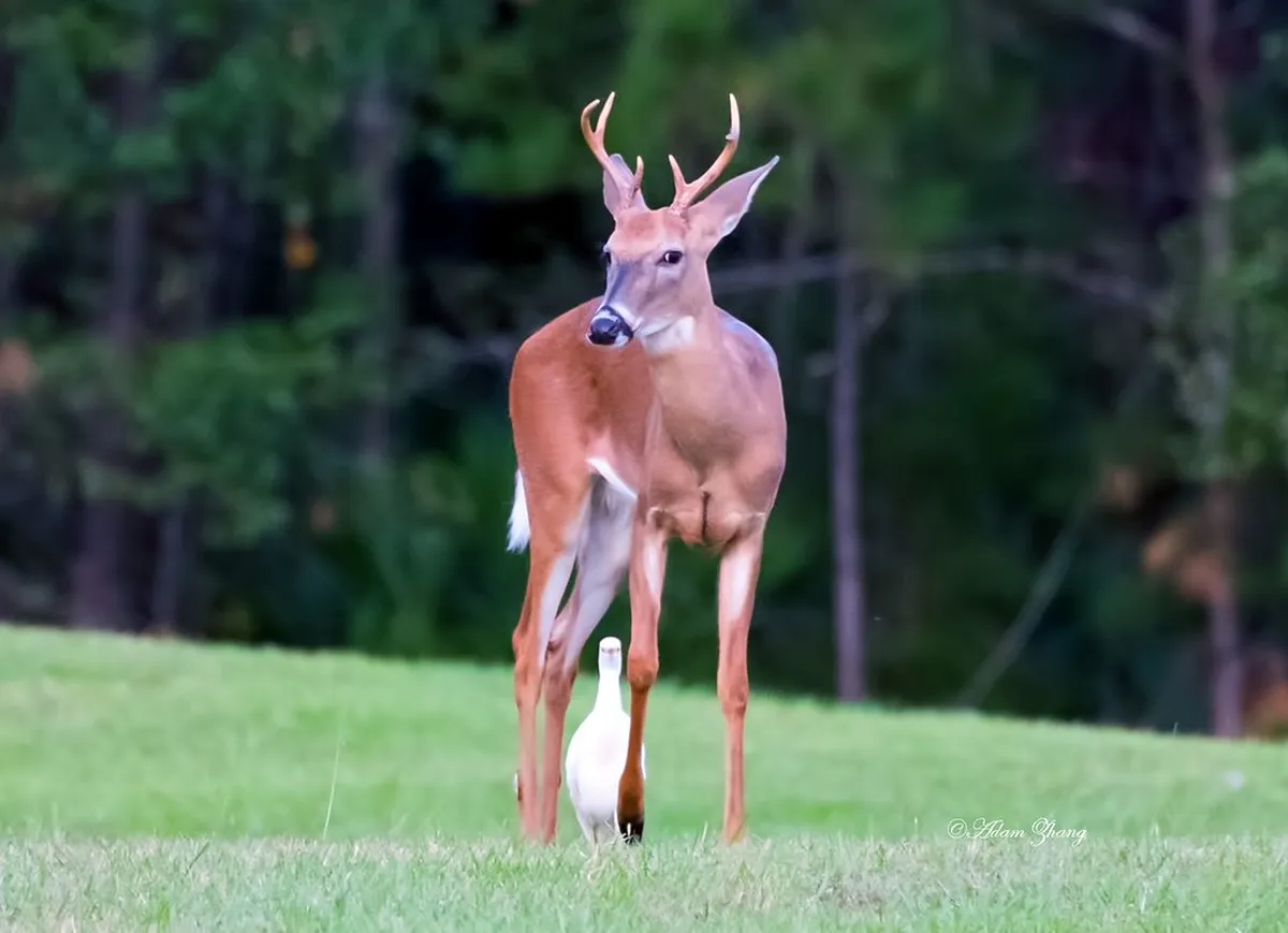 Discover Unusual Maribor Activities in 2025