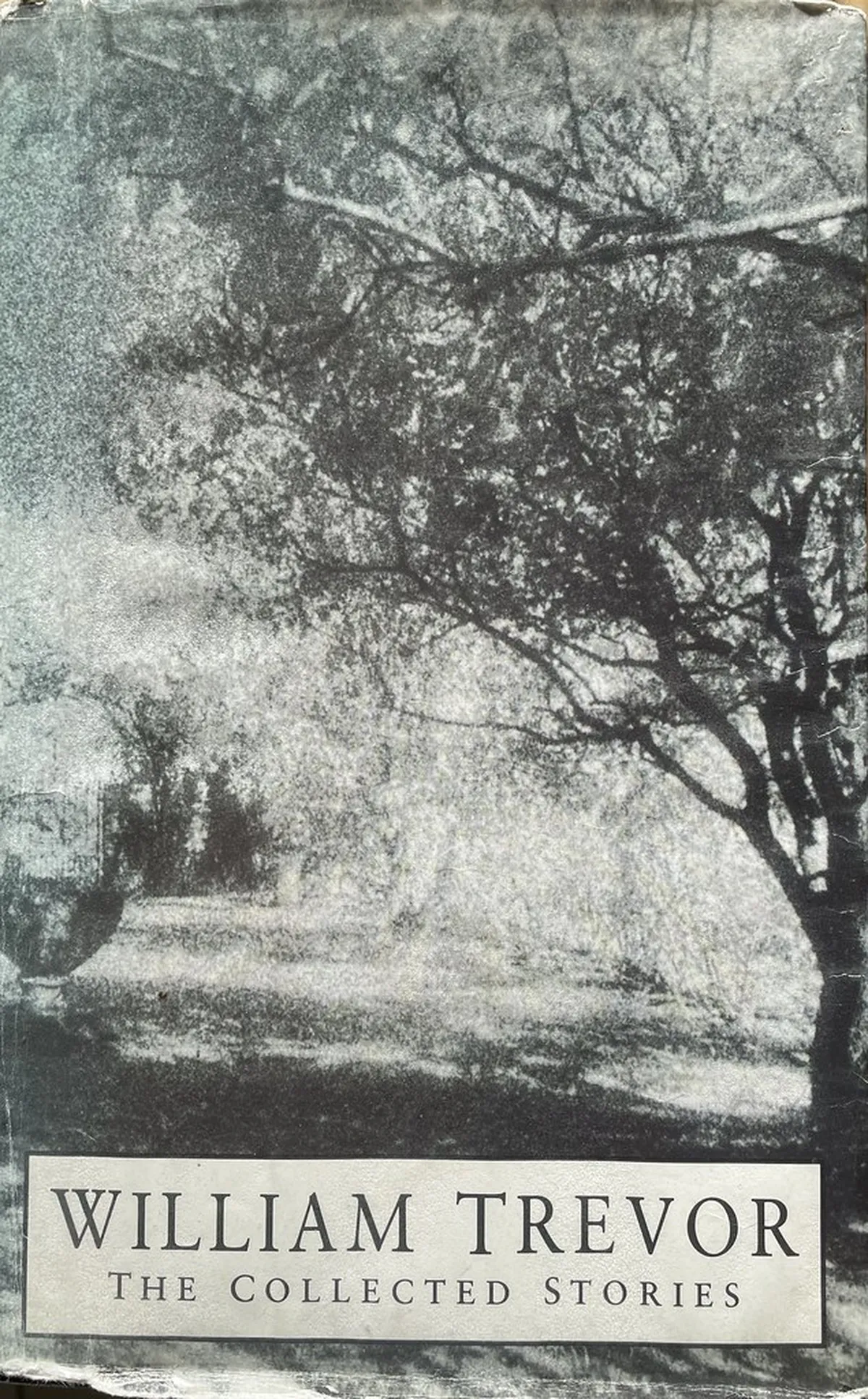 Unusual Things Londoners Do: Discover Local Secrets