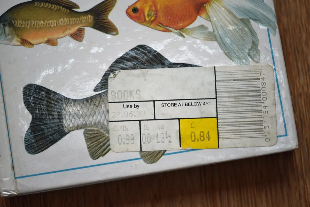 Unusual Things to Do Belfast: Your Offbeat 2025 Guide