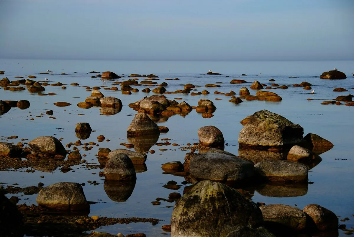 Unusual Visby Experiences: Uncovering Gotland's Hidden Gems