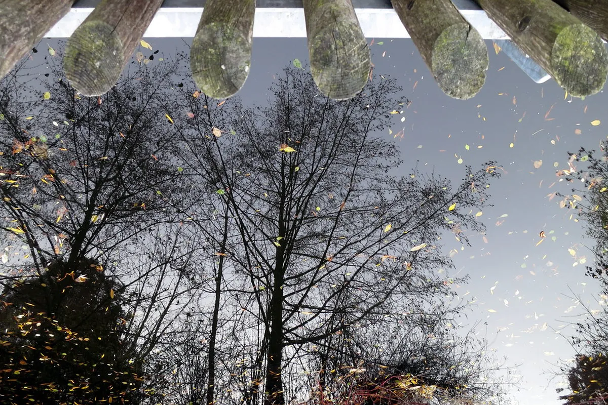 Discover Unusual Wiesbaden Attractions in 2025