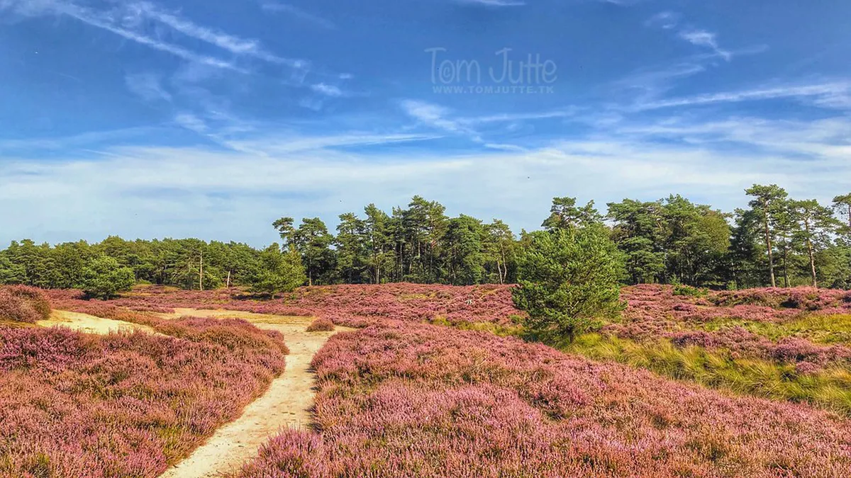 Discover Utrecht's Hidden Photo Spots in 2025