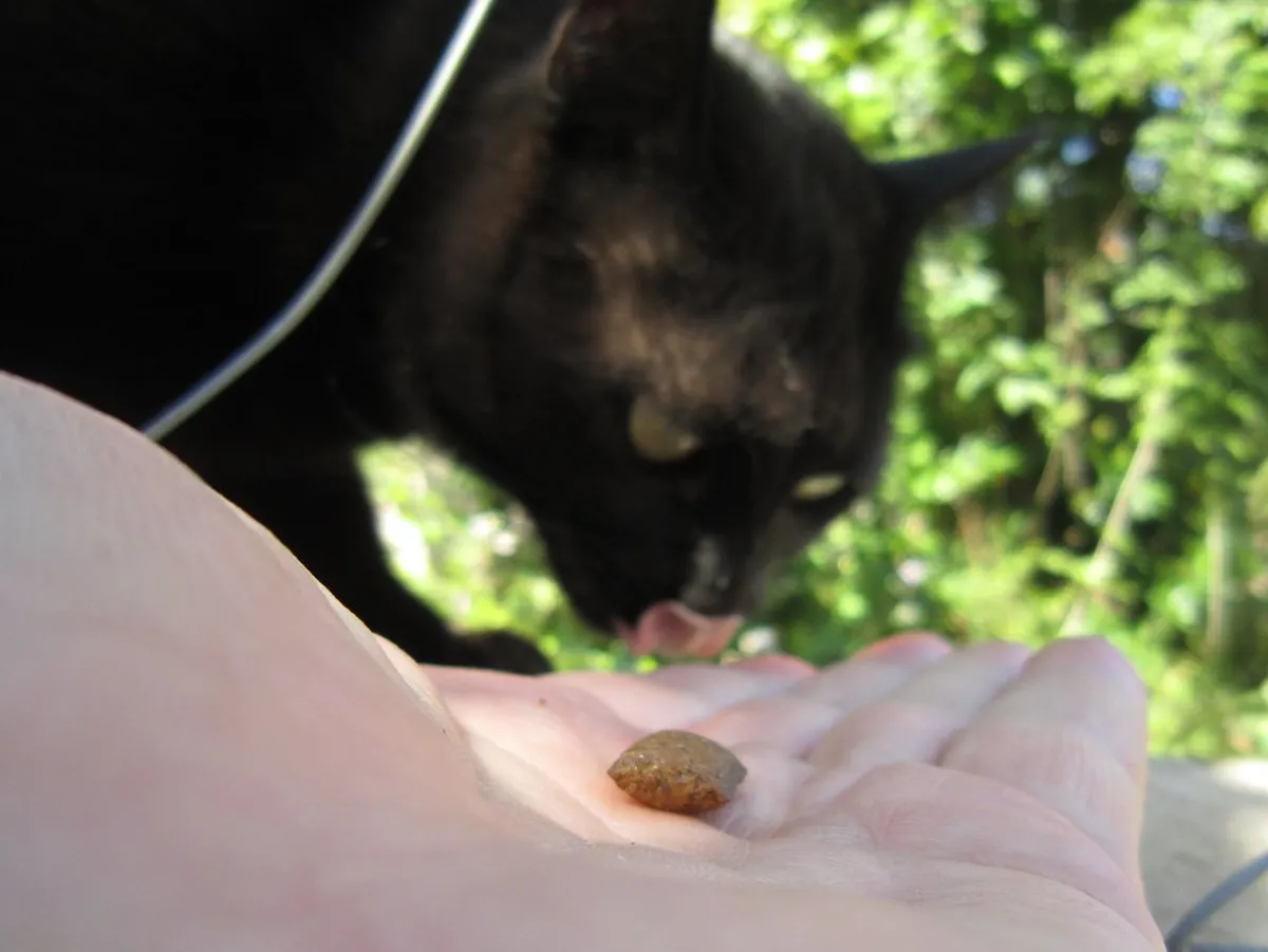 Discover Valldemossa's Local Artisan Workshops in 2025