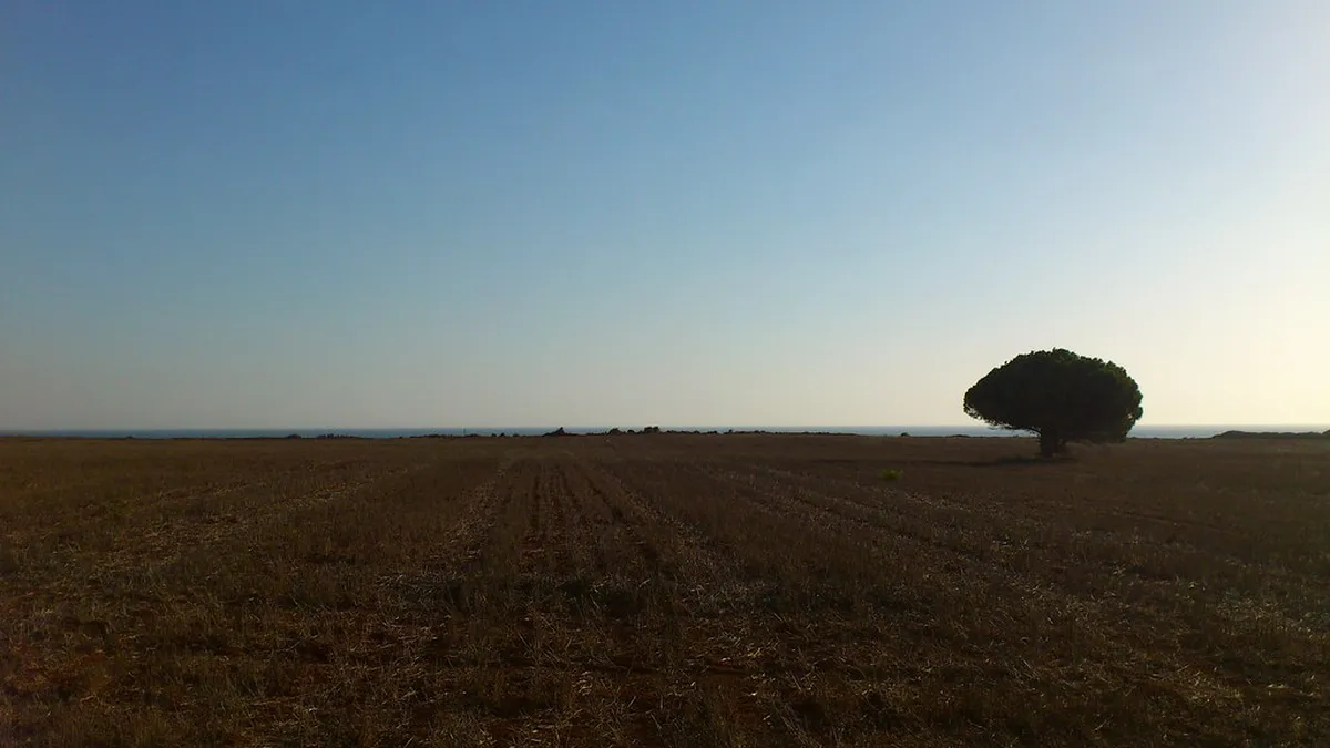 Discover Vejer's Local Artisan Shops: A 2025 Guide