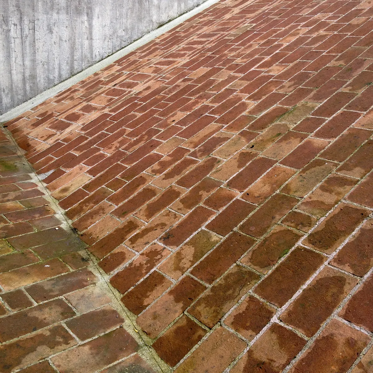 Discover Venice's Hidden Courtyards: Your 2025 Guide