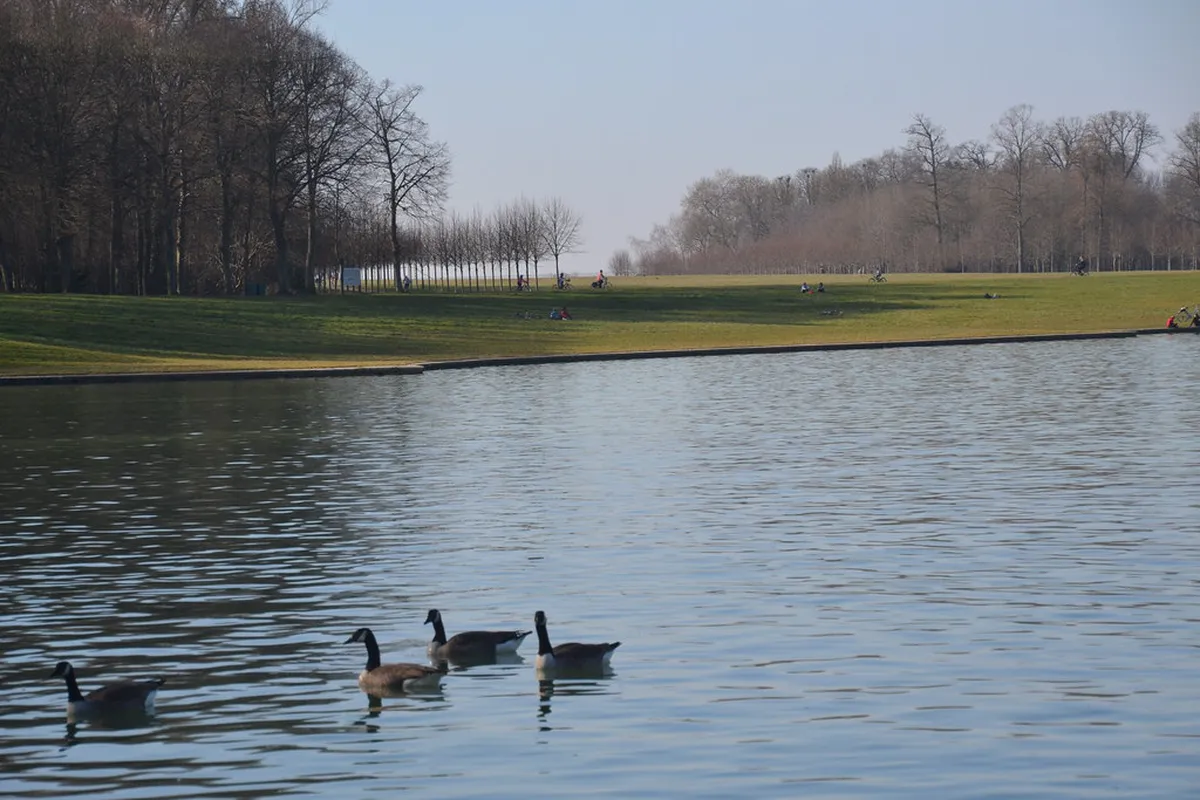 Versailles Local Eats: A Culinary Guide for 2025