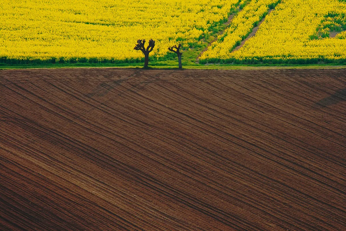 Vicenza Ghost Stories History: Unveiling Haunting Tales of Italy