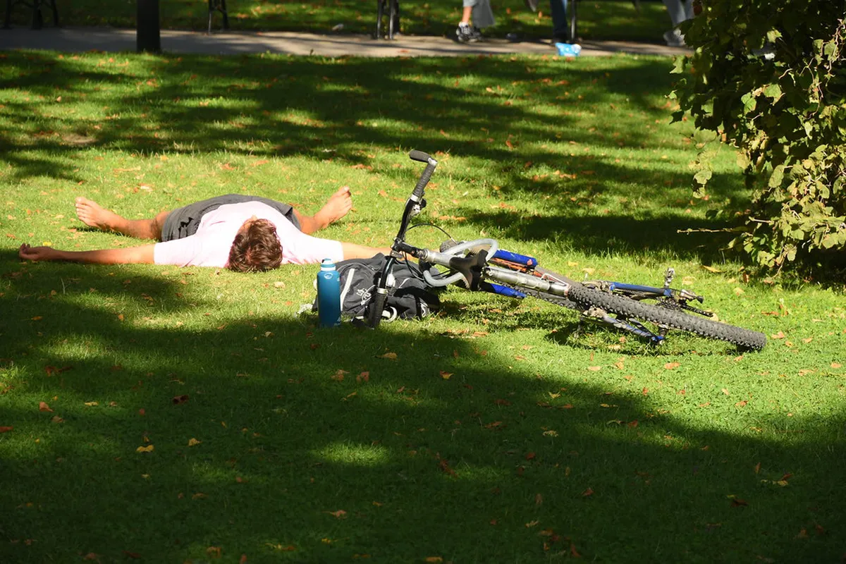 Discover Vienna's Offbeat Museums in 2025