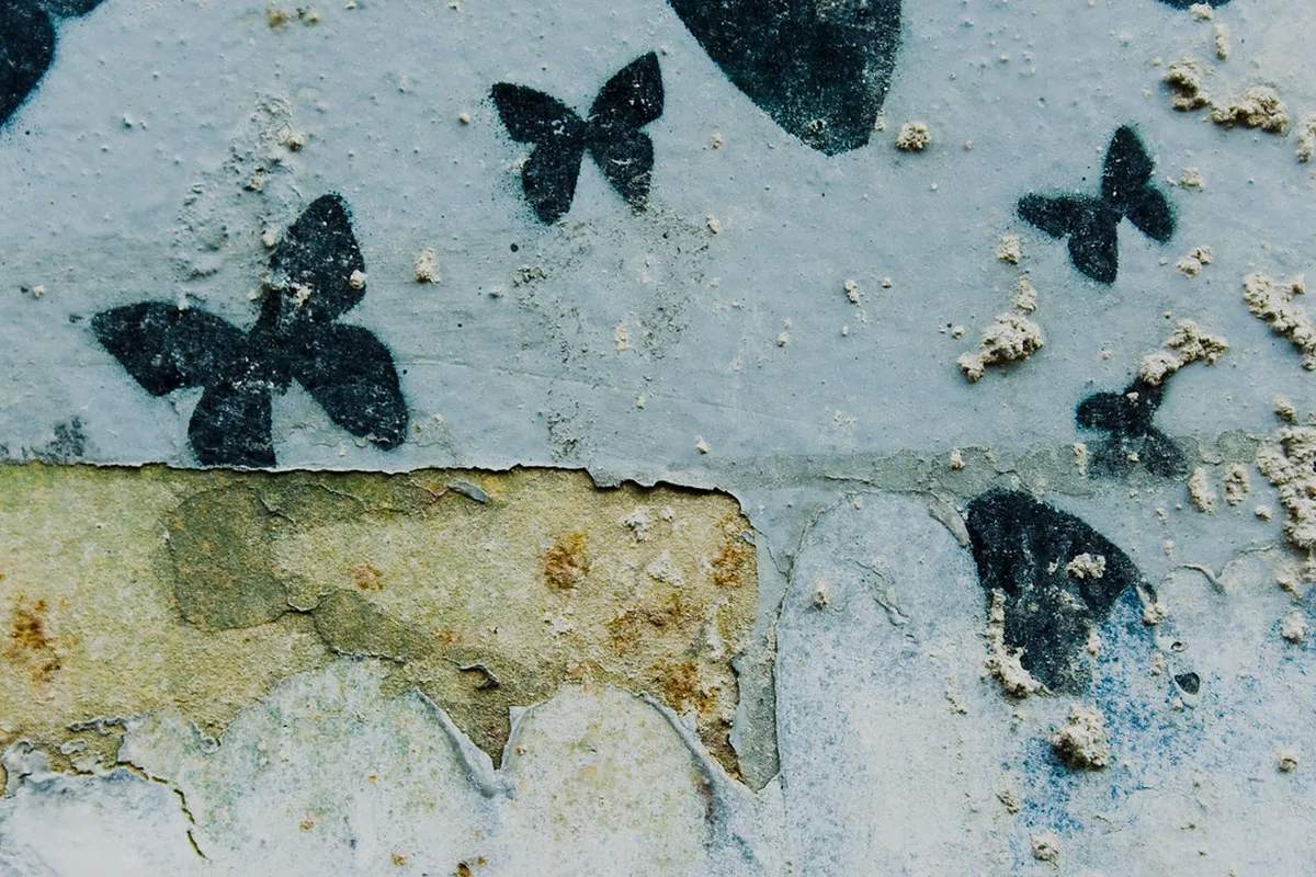 Discover Vilnius Forgotten Historical Sites in 2025