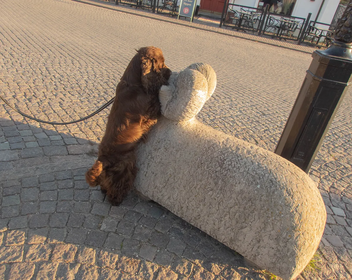 Visby Secret Gardens Guide 2025: Uncover Hidden Gems