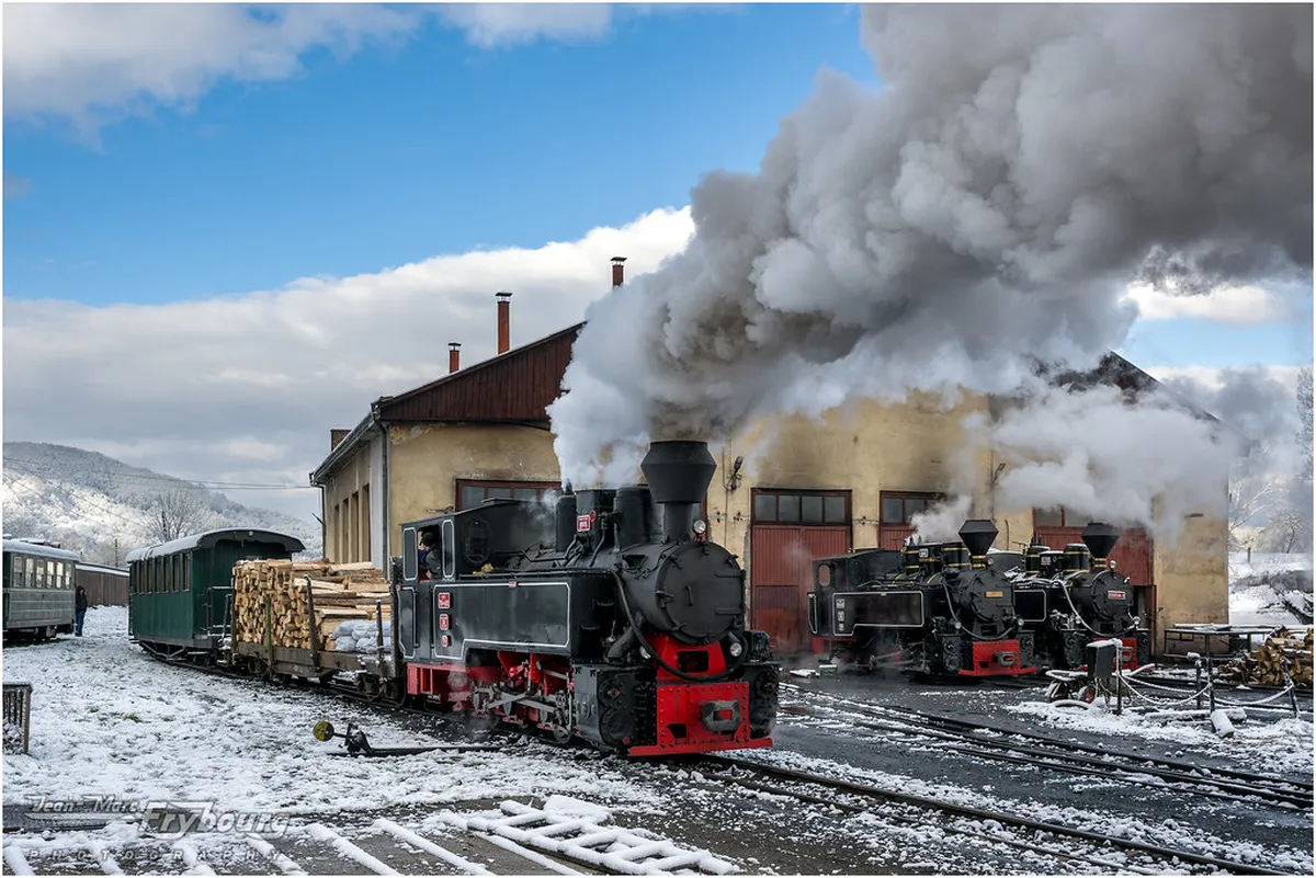 Discover Viseu's Authentic Food Finds in 2025