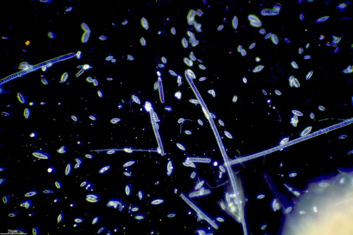 Viseu Hidden Viewpoints: Secret Vistas & Panoramic Views 2025