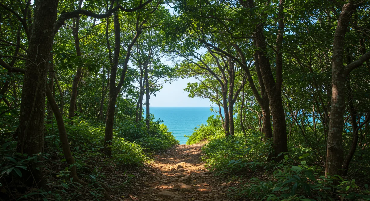Vung Tau's Hidden Hiking Trails: Explore Off-the-Beaten-Path