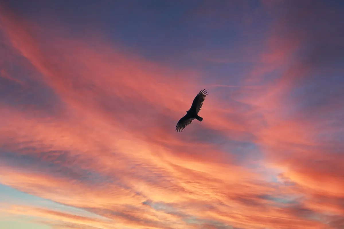 Where to Buy Unique Local Crafts in Łódź: 2025 Guide