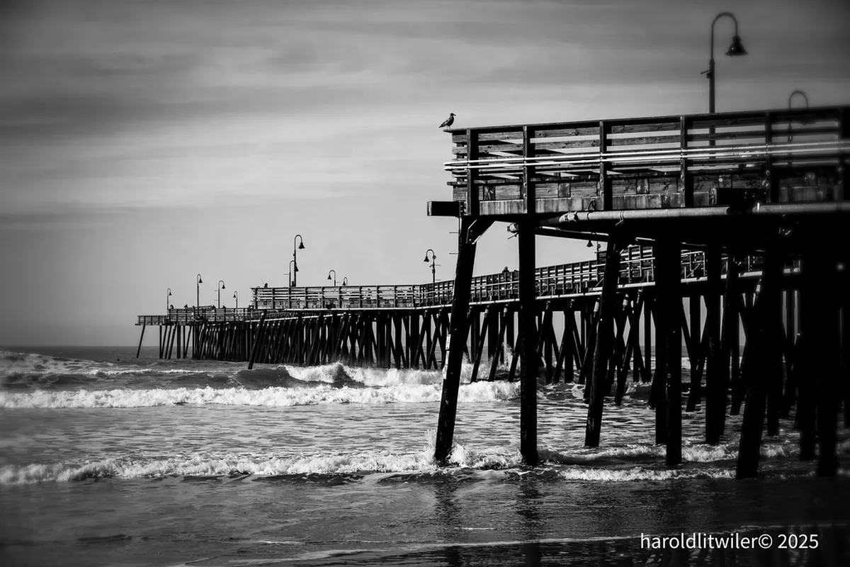 Discover Ávila Street Art: Your Guide to Hidden Murals