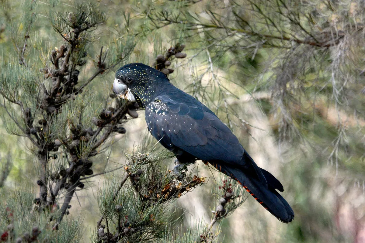 Where Locals Eat Pamplona: Authentic Culinary Gems in 2025