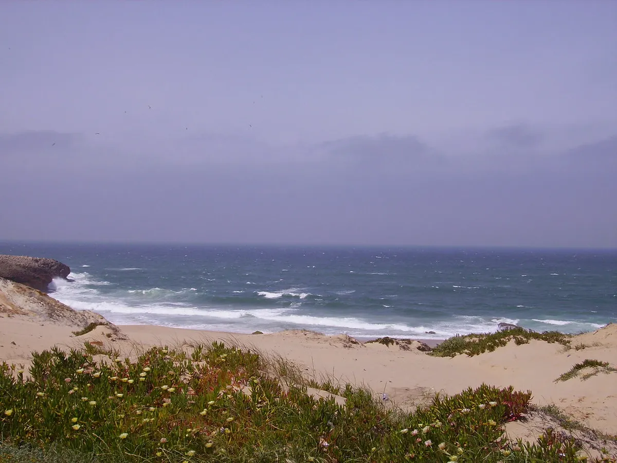 Peniche Surf: Your Guide to Portugal's Best Waves in 2025