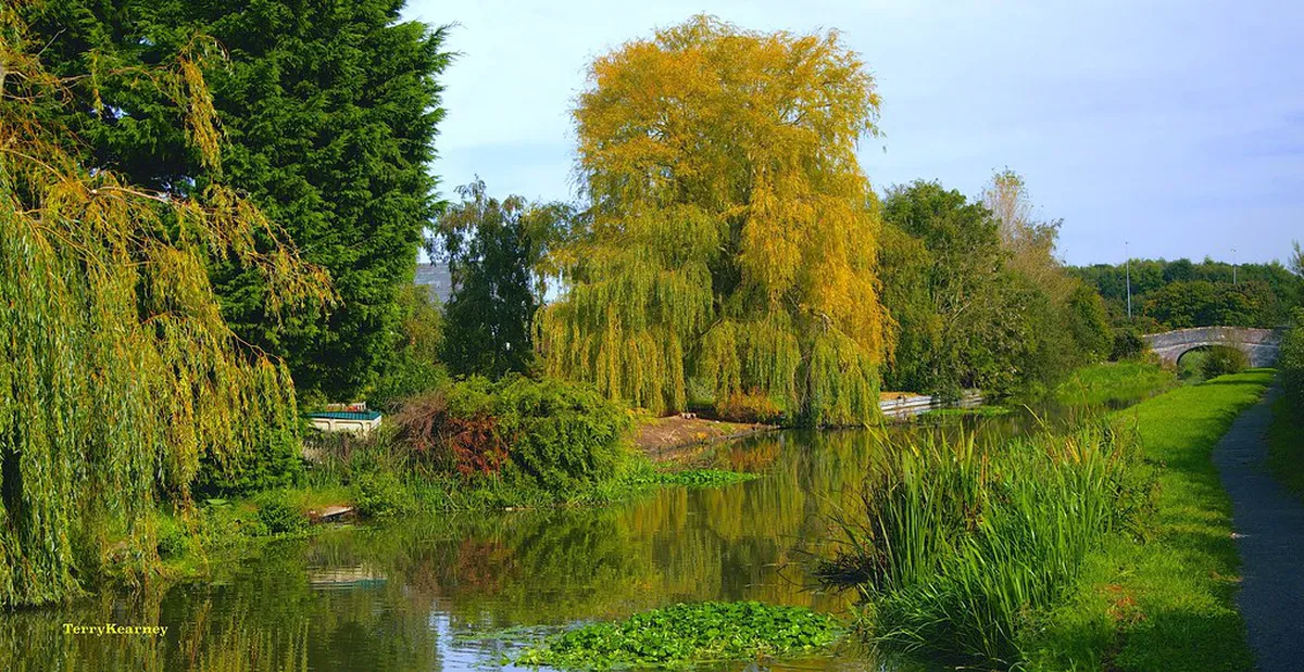 Whitby Local Pub Gems: Your 2025 Authentic Guide