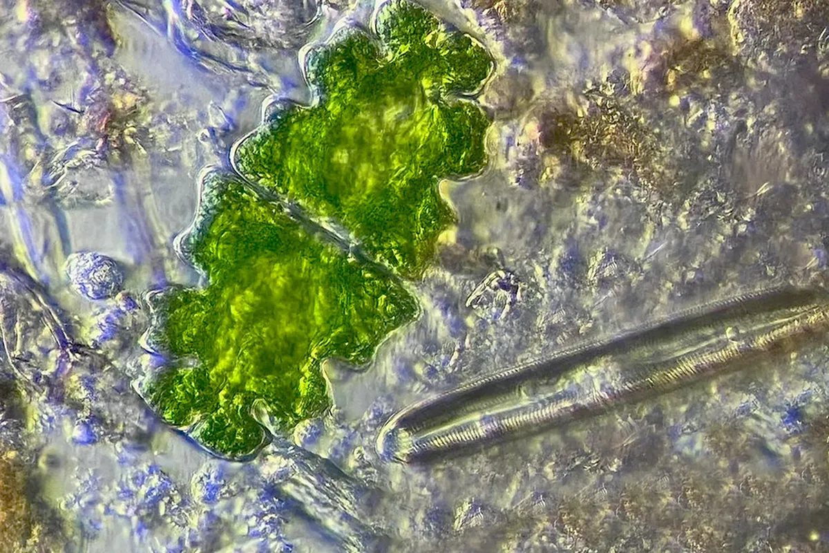 Zaragoza Hidden Day Trips: Unveiling Aragón's Secret Gems