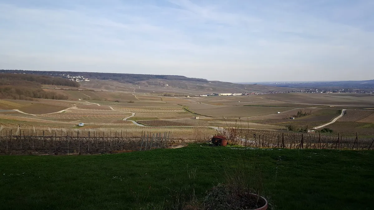 Épernay Hidden Gems: Uncover Champagne's Secret Spots in 2025