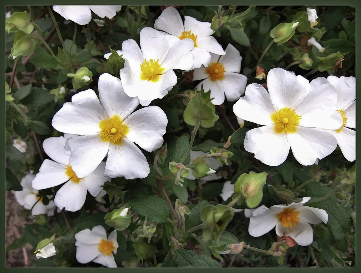 Évora's Hidden Gems: Less Crowded Museums to Explore in 2025