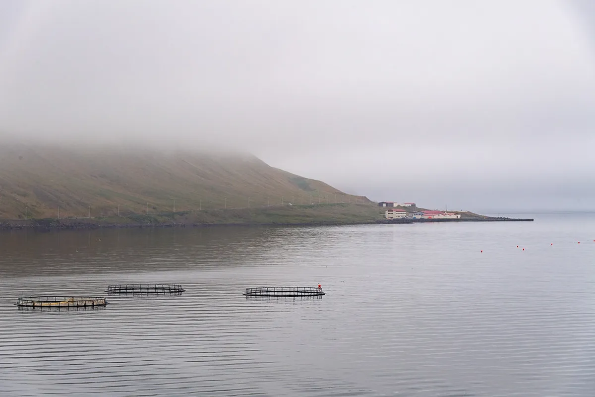 Ísafjörður Hidden Hot Springs: Your 2025 Relaxation Guide
