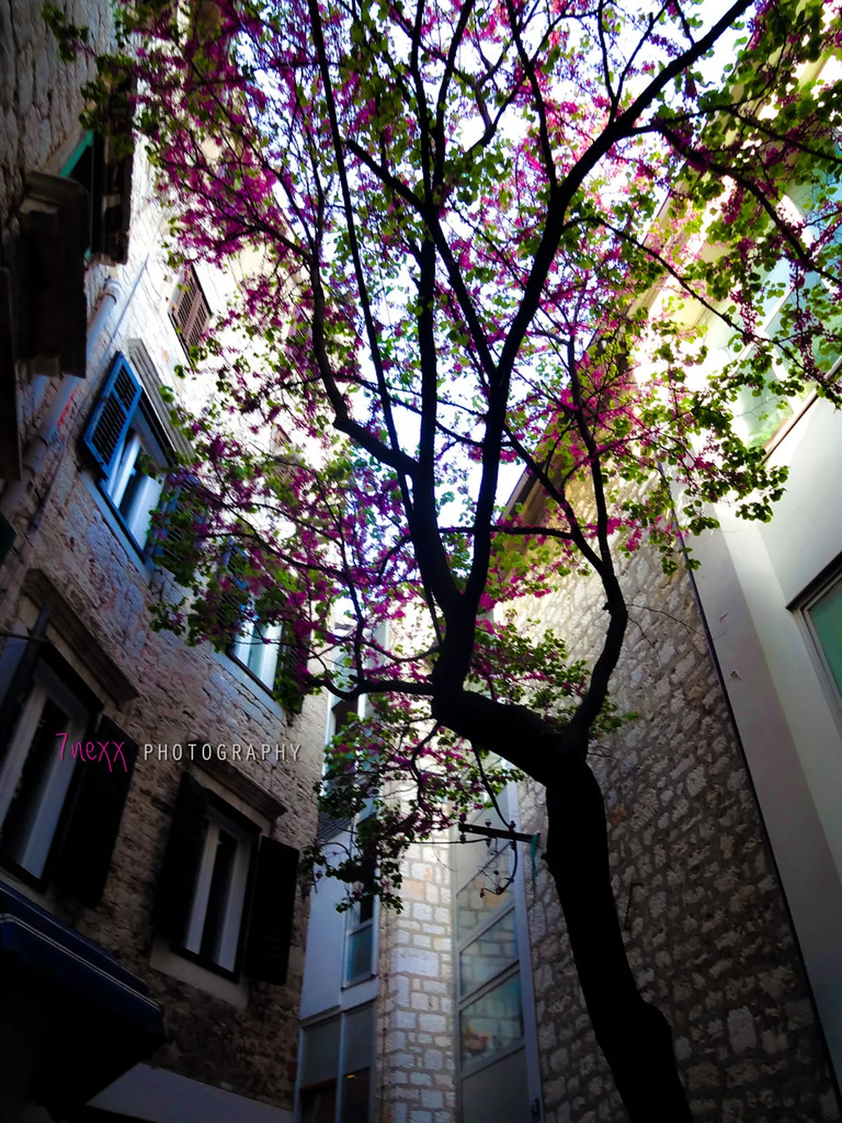 Discover Šibenik's Secret Beaches: Your 2025 Guide